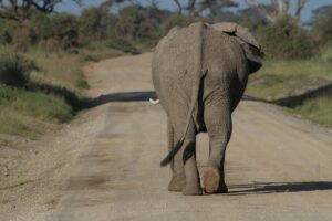 アフターファイブにぴったりな旅で気分転換する方法は？