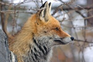 仕事をやめたいあなたにおすすめの旅でリフレッシュする方法は？