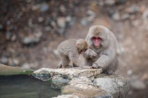 温泉でのワーケーションに最適なおすすめスポットは？