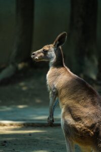 ワーケーションで副業を成功させる女性の秘訣は？