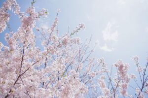 札幌で女性がひとりワーケーションする際のポイントは？
