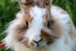 ソロワーケーションの体験談は本当に役立つ？実際の声を徹底検証！