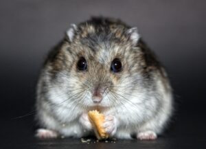 ソロワーケーションの料金はどれくらいかかる？